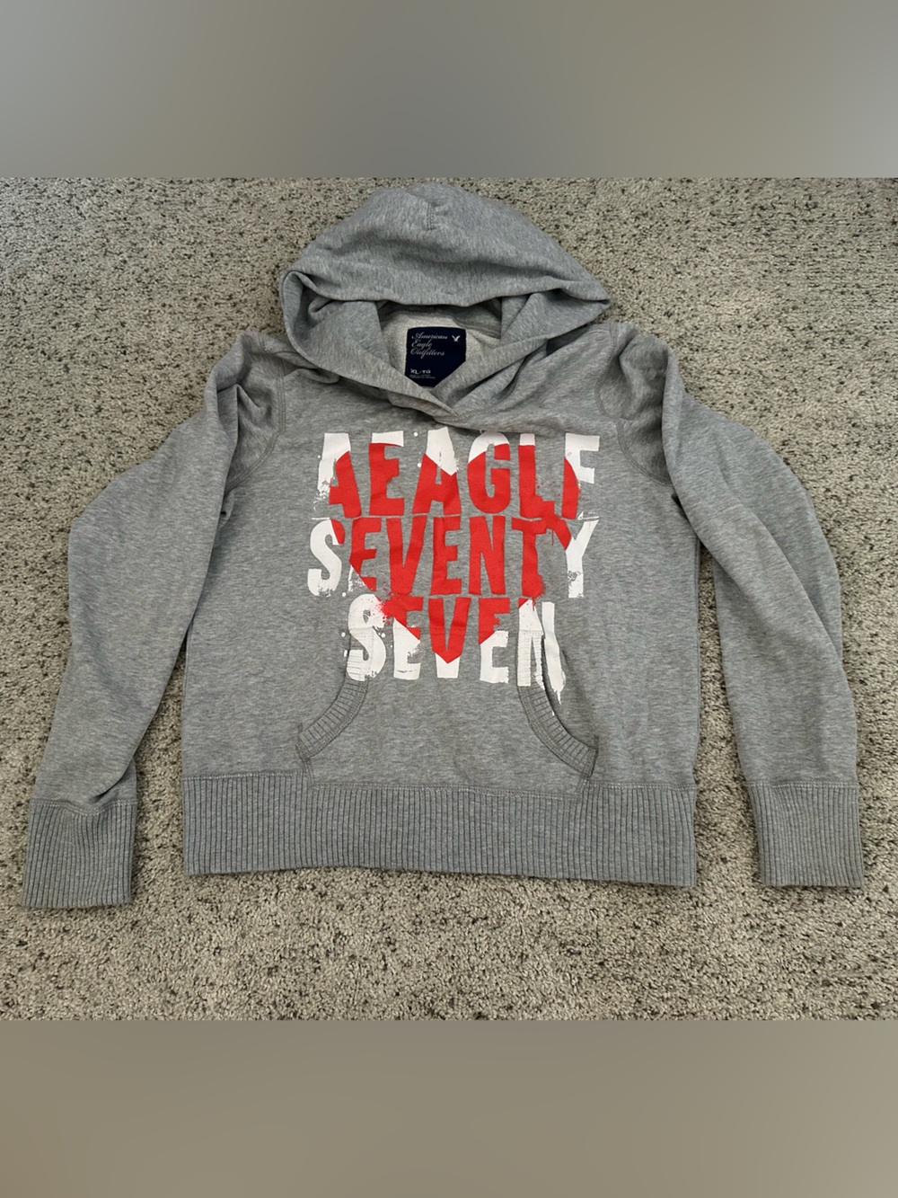 American Eagle Outfitters Gray Hoodie